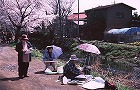 1999年 フォトコン ファミリー部門 特選 春うらら/土屋雄一