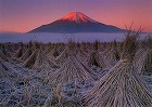 2000年 フォトコン 一般部門 ゴールド賞 晩秋忍野/永野敏昭