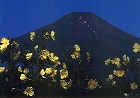 2001年 フォトコン 一般部門 入賞作品 宵待草/高村茂