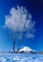 2003年 フォトコン 一般部門 特別賞 樹氷/井出吾朗