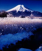 2005年 フォトコン 一般部門 シルバー賞 厳冬/大森大一