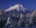 2006年 フォトコン 一般部門 シルバー賞 厳冬の峠/大森大一