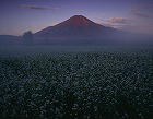 2006年 フォトコン 一般部門 シルバー賞 ソバの里/永野武光