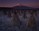 2009年 フォトコン 一般部門 シルバー賞 田園の朝/永野敏昭