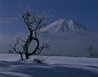 2009年 フォトコン 一般部門 特別賞 厳冬の朝/勝俣貢