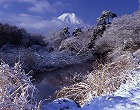 2010年 フォトコン 一般部門 ゴールド賞 桂川の霧氷/永野敏昭