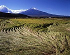 2010年 フォトコン 一般部門 シルバー賞 嵐去りし朝/大塚隆彦