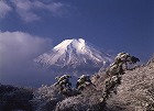 2010年 フォトコン 一般部門 特別賞 忍野の冬/山崎なほ子