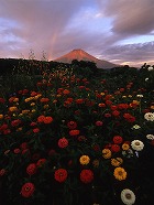 2011年 フォトコン 一般部門 特別賞 夏の虹/渡辺勝