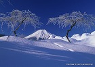 2012年 フォトコン 一般部門 グランプリ 霧氷/後藤重行