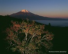 2013年 フォトコン シルバー賞 峠の夜明け/鈴木定