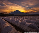 2019年 フォトコン シルバー賞 農村の夕暮れ/関根元治