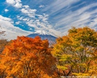 2019年 フォトコン 写真弘社賞 錦秋の二十曲峠/山下多津美