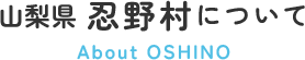 山梨県忍野村について