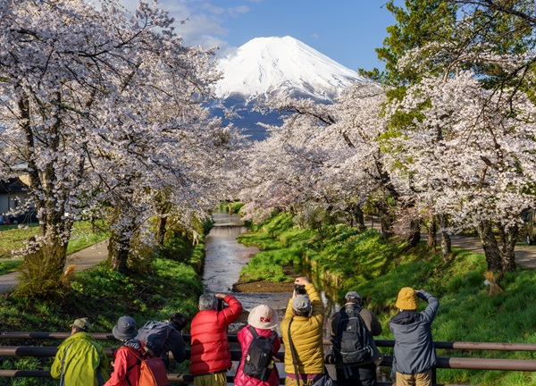 「春を競う」のサムネイル画像