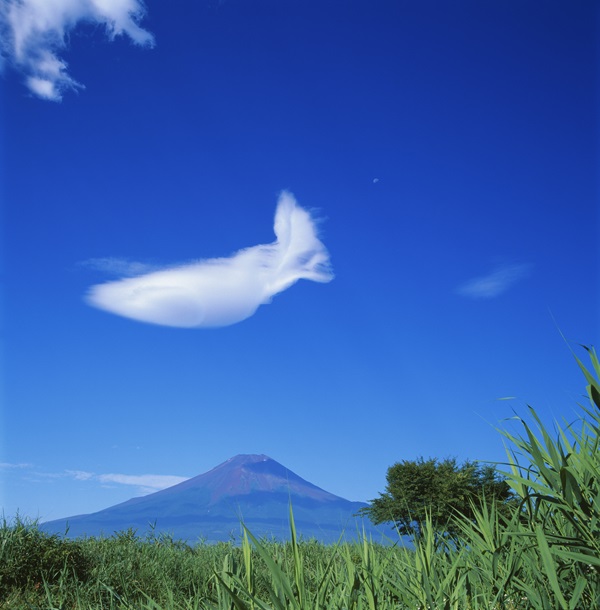 「流れ雲」のサムネイル画像