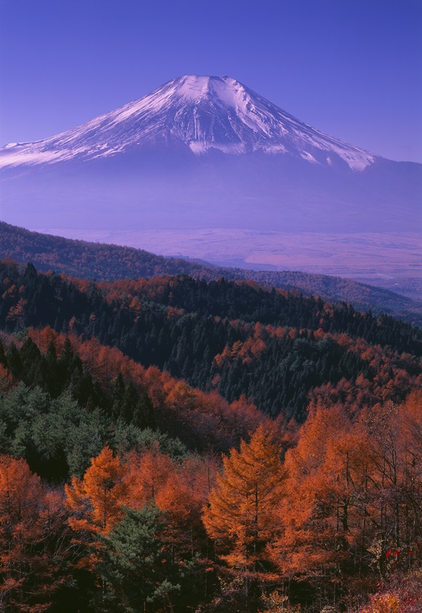 「秋の二十曲峠」のサムネイル画像