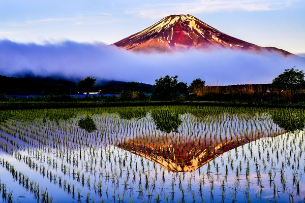 「赤き逆さ富士」のサムネイル画像