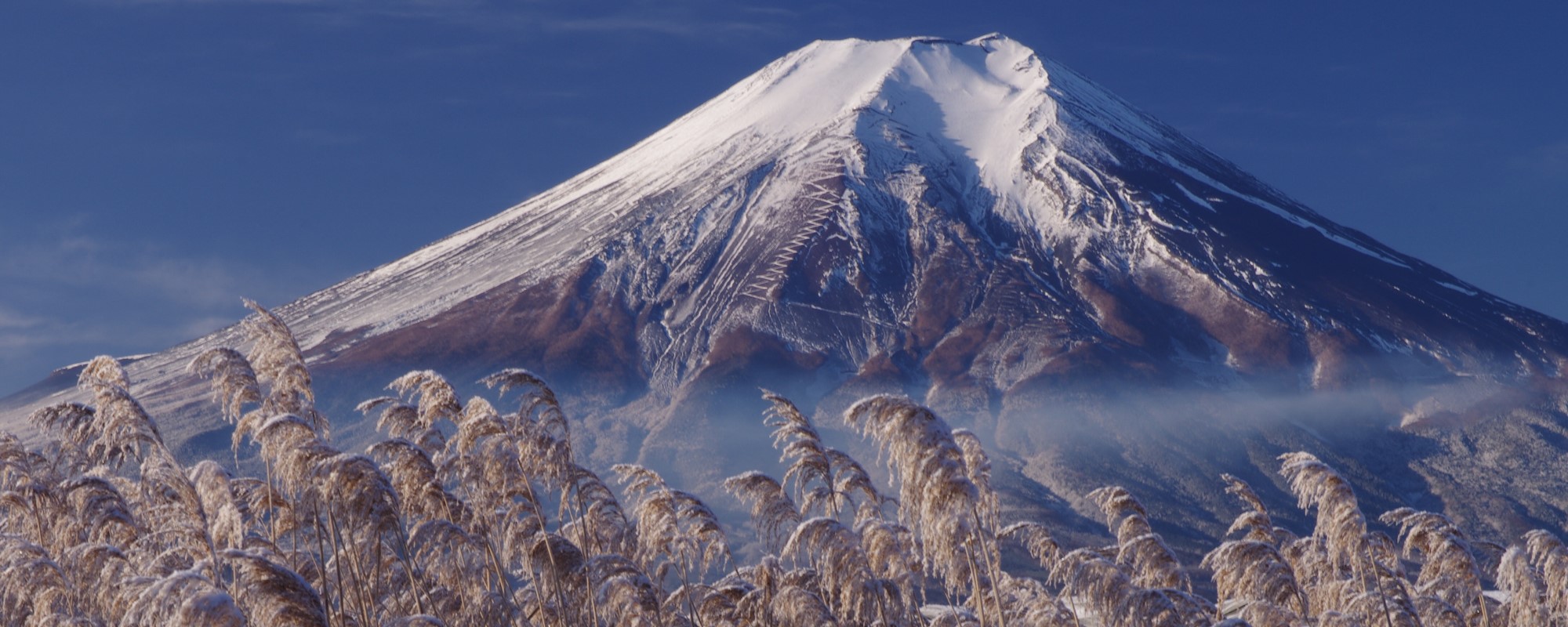 泡雪の朝の画像