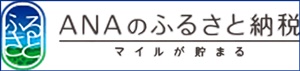 ANAのふるさと納税