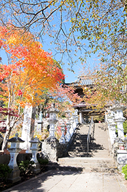 東円寺