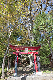 内野八幡社鳥居