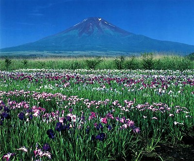 五月晴れの時／相川誠の画像