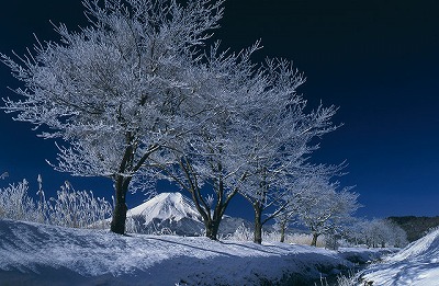樹氷／佐野直の画像