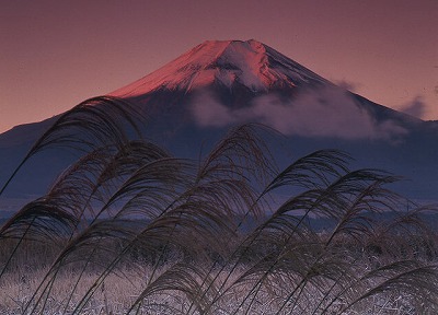 ススキと富士／土屋敏彦の画像