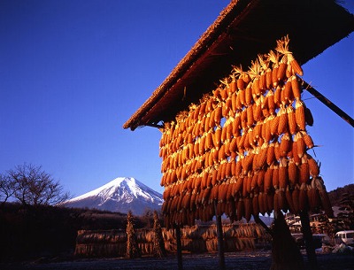 朝の光／中島照雄の画像