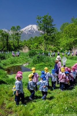 虫取りお散歩／中山八重子の画像