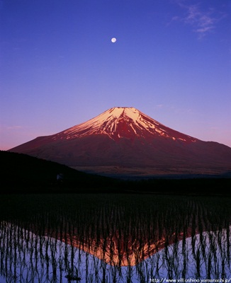 有明の月／鈴木定の画像