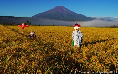 忍野の朝/渡邊忠義の画像