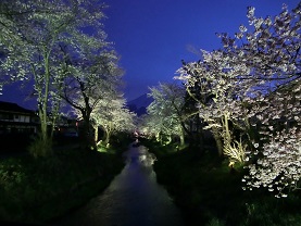 ライトアップの様子 ライトアップの様子