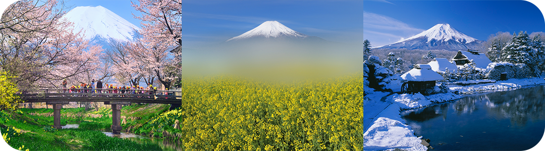 忍野村の紹介画像