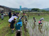 生き物体験