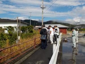 バンジーの画像3