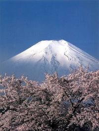 春のおとずれ／永野武光の画像