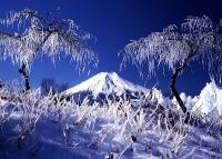 氷結／後藤重行の画像