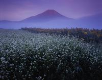 霧晴れる里／永野武光の画像