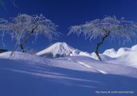 霧氷／後藤重行の画像