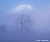 幻想富士／大森大一の画像