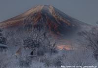 凍てつく朝靄／佐野直の画像