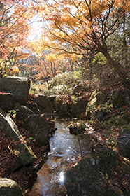 忍野村の水