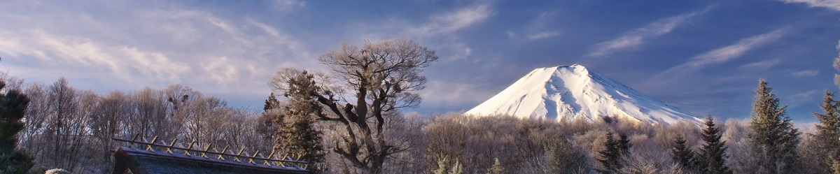 広報おしののタイトル画像